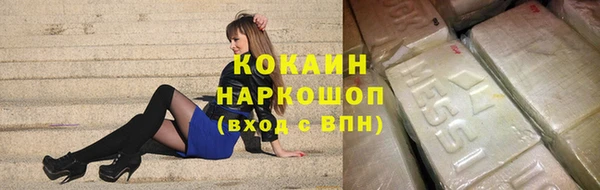 гидра Новозыбков