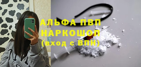 стаф Железноводск