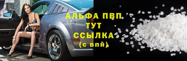 гидра Новозыбков