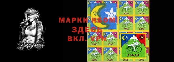 гидра Новозыбков