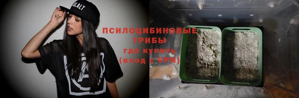 гидра Новозыбков