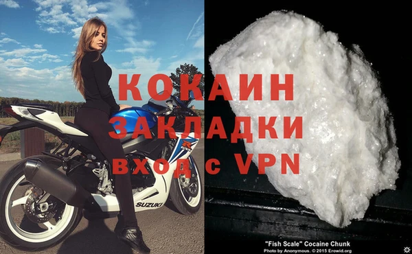 гидра Новозыбков