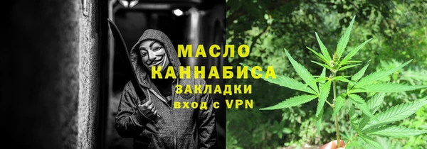 гидра Новозыбков