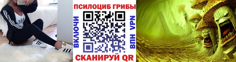 наркошоп  Пикалёво  Галлюциногенные грибы мицелий 