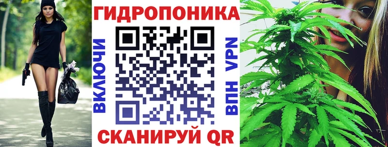 Каннабис White Widow shop наркотические препараты Пикалёво закладки